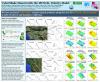 Image of SCEC poster